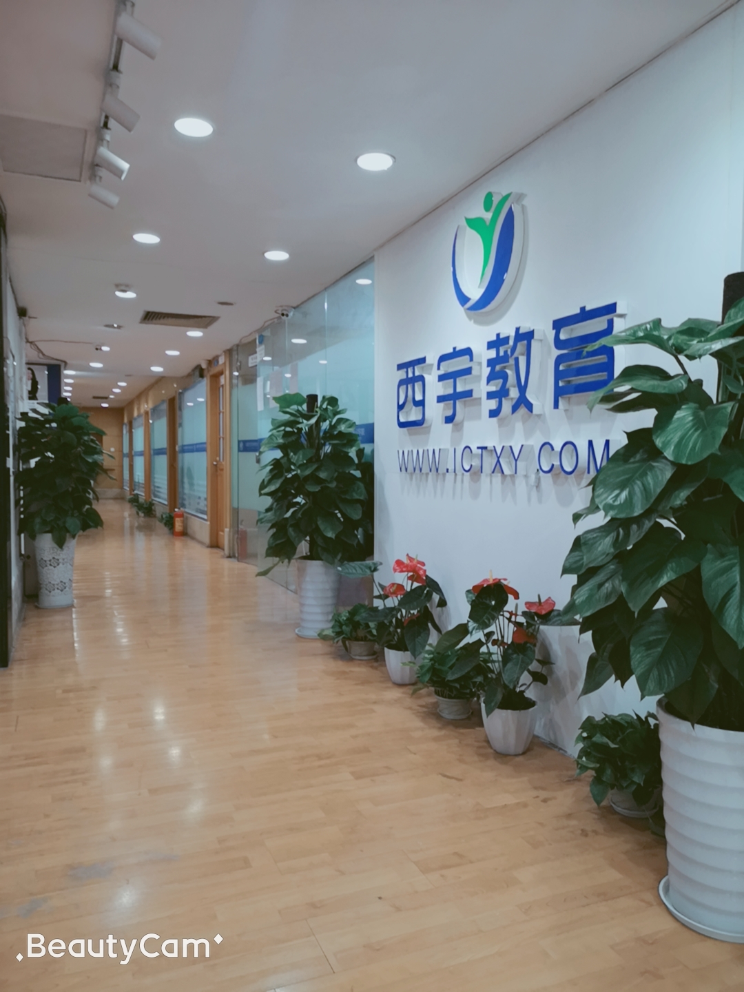 学校