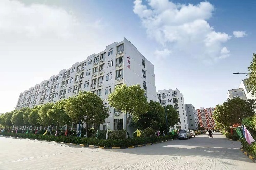 合肥当高贸易技工学校