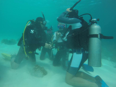 QQ图片20171227234509.png QQ图片20171227234509.png