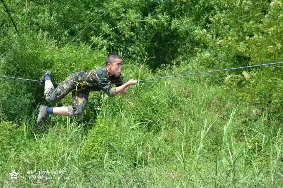 微信图片_20171124195428.jpg 微信图片_20171124195428.jpg