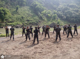 psbCALQHO03.jpg psbCALQHO03.jpg