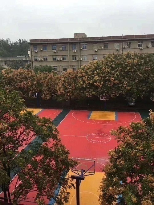 电竞运动管理专业面向河南招商