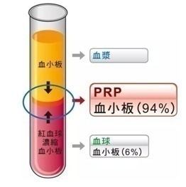PRP技术学习2021杭州