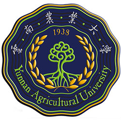 云南农业大学排名2022年最新全国排名第180